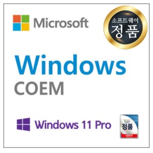 Windows 11 Pro DSP(COEM) 한글 64bit